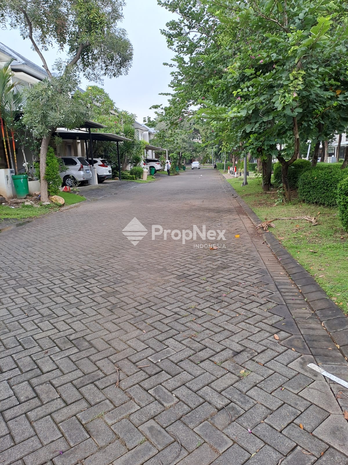Wisata Bukit Mas — foto 7